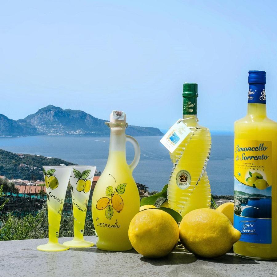 B&B Mamma Sorrento Holidays Zewnętrze zdjęcie